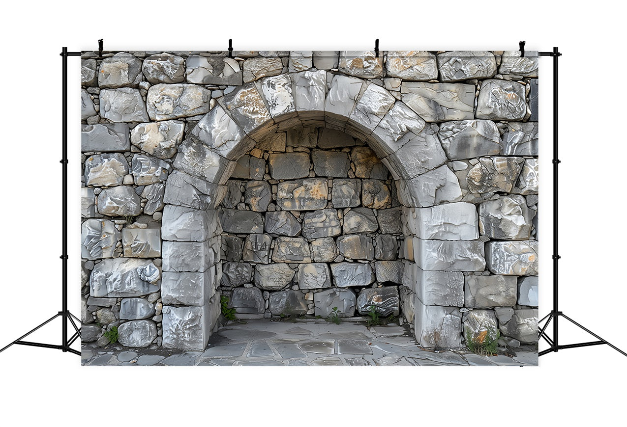 Pet Photography Backdrop Stone Arch Rock Wall Backdrop UK LXX1-257