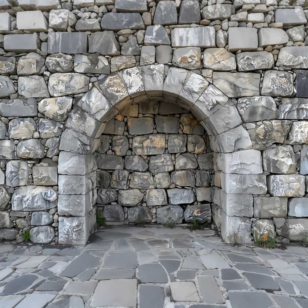 Pet Photography Backdrop Stone Arch Rock Wall Backdrop UK LXX1-257