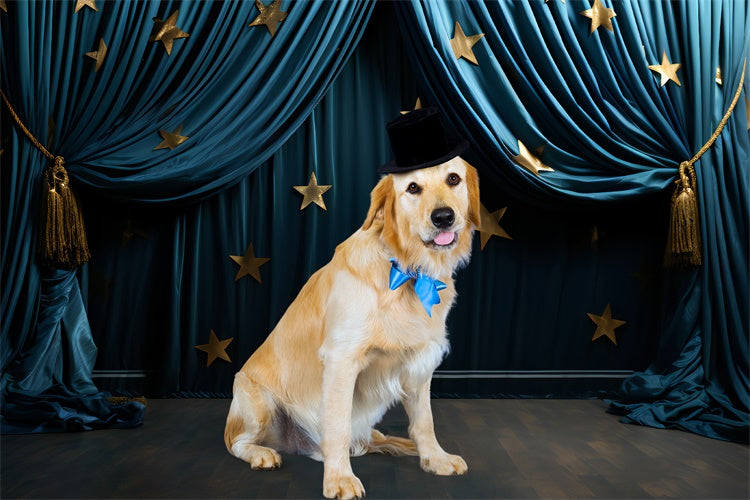 Pet Photo Backdrops Golden Star Blue Drapes Backdrop UK LXX1-277