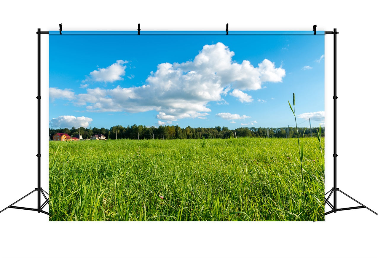 Sky Backdrop Photography Green Meadow Blue Backdrop UK LXX1-301