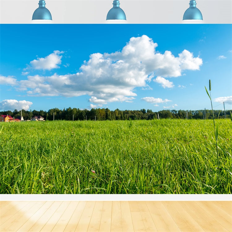 Sky Backdrop Photography Green Meadow Blue Backdrop UK LXX1-301