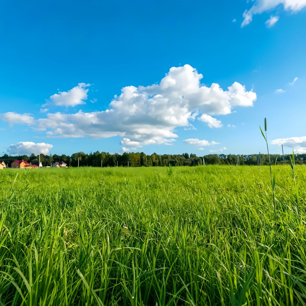 Sky Backdrop Photography Green Meadow Blue Backdrop UK LXX1-301