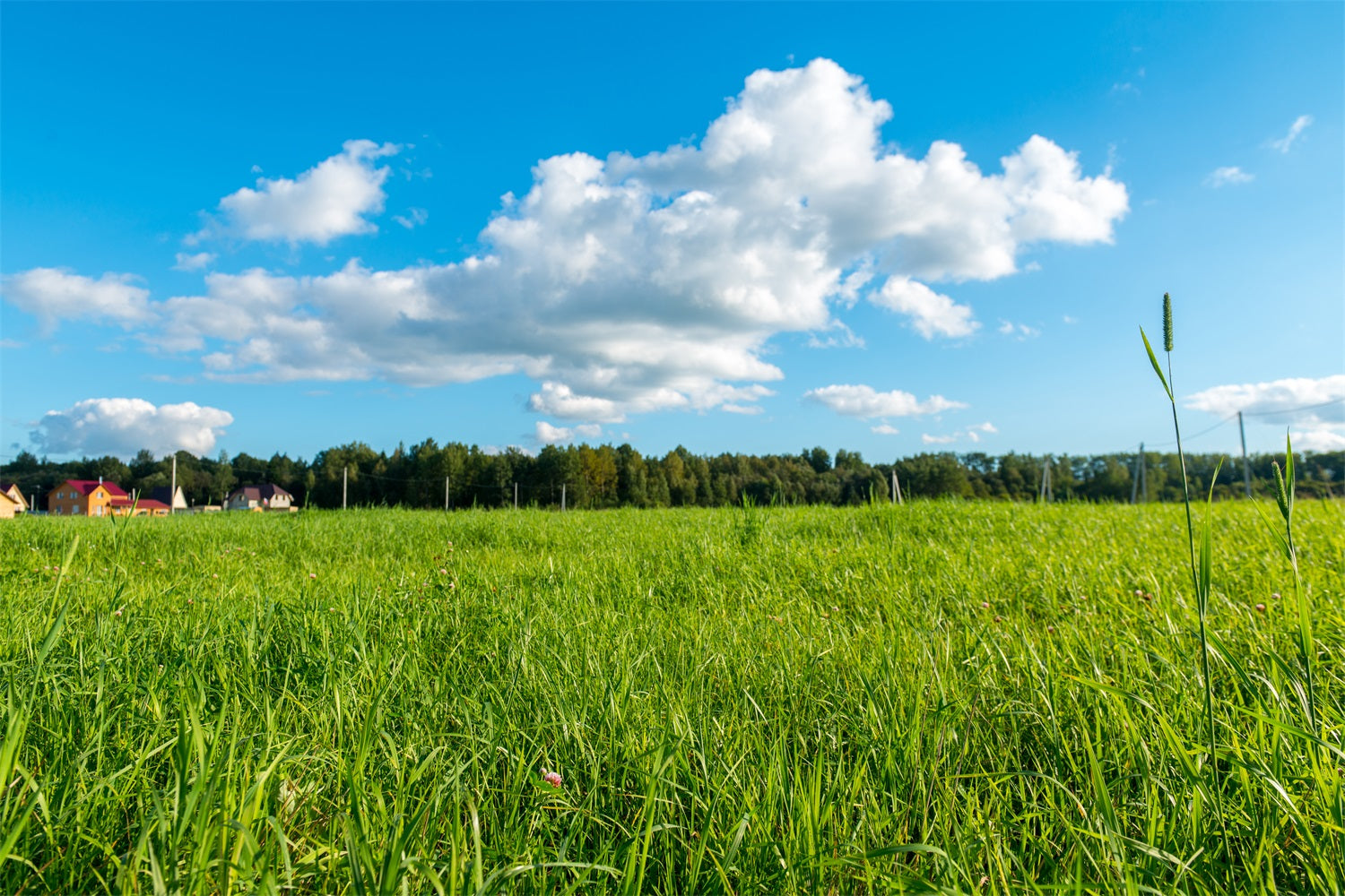 Sky Backdrop Photography Green Meadow Blue Backdrop UK LXX1-301