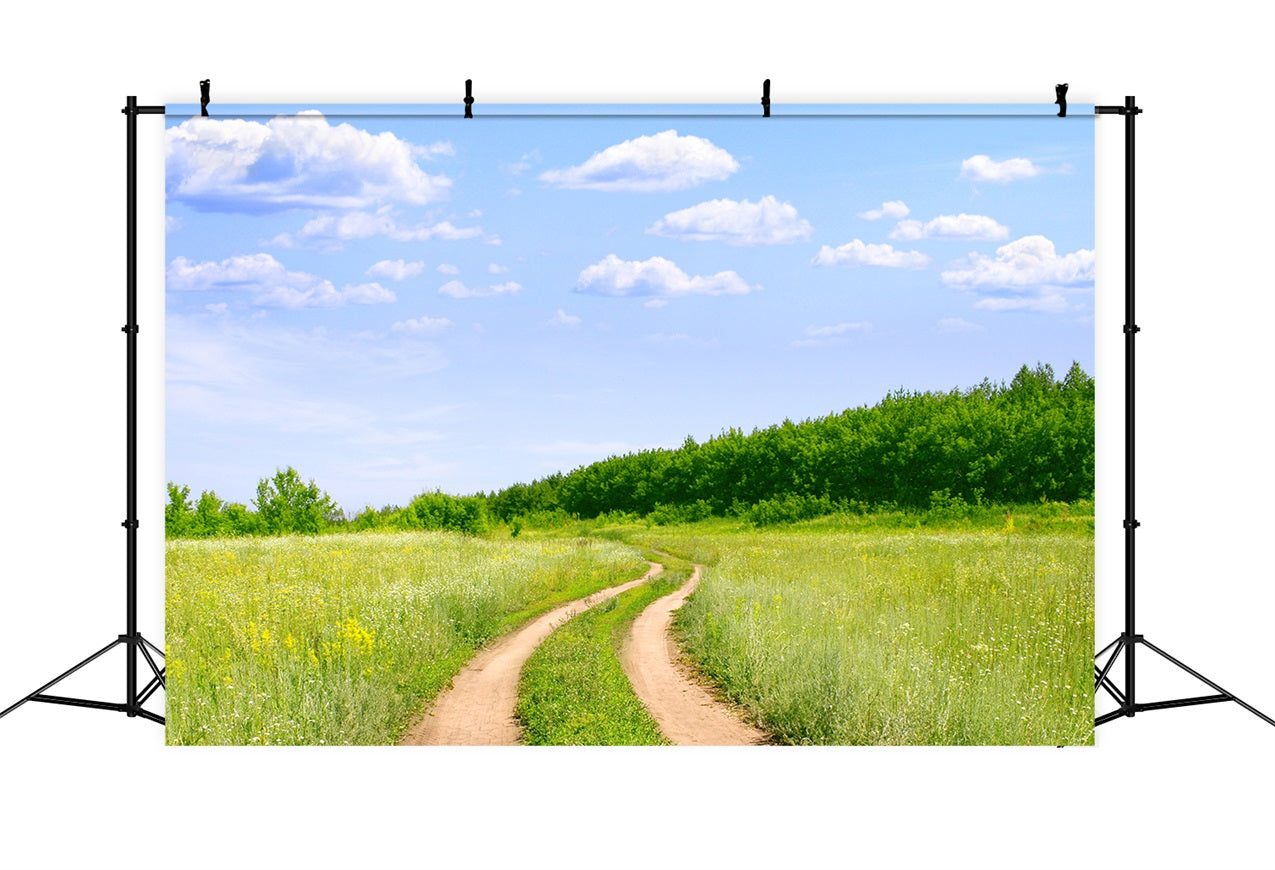 Blue Sky Backdrop Country Trail Meadow Backdrop UK LXX1-302