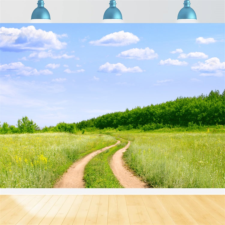 Blue Sky Backdrop Country Trail Meadow Backdrop UK LXX1-302