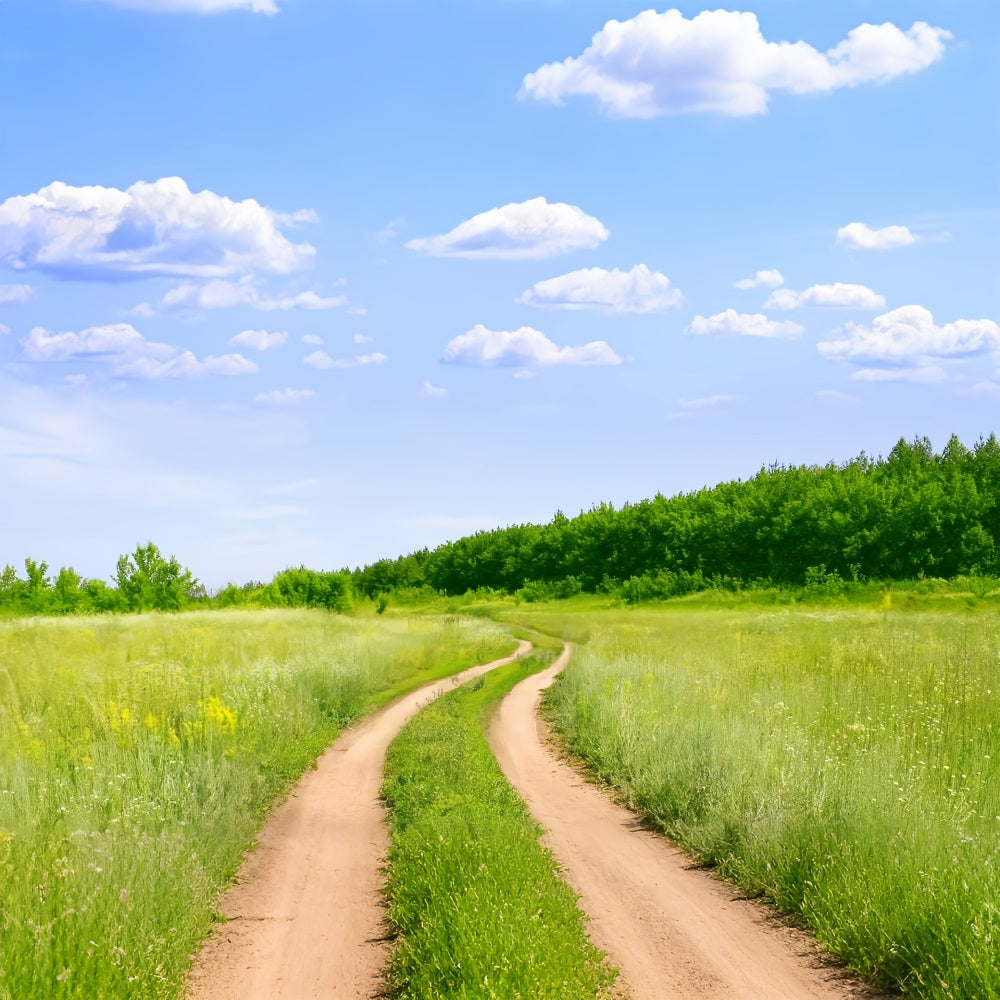 Blue Sky Backdrop Country Trail Meadow Backdrop UK LXX1-302