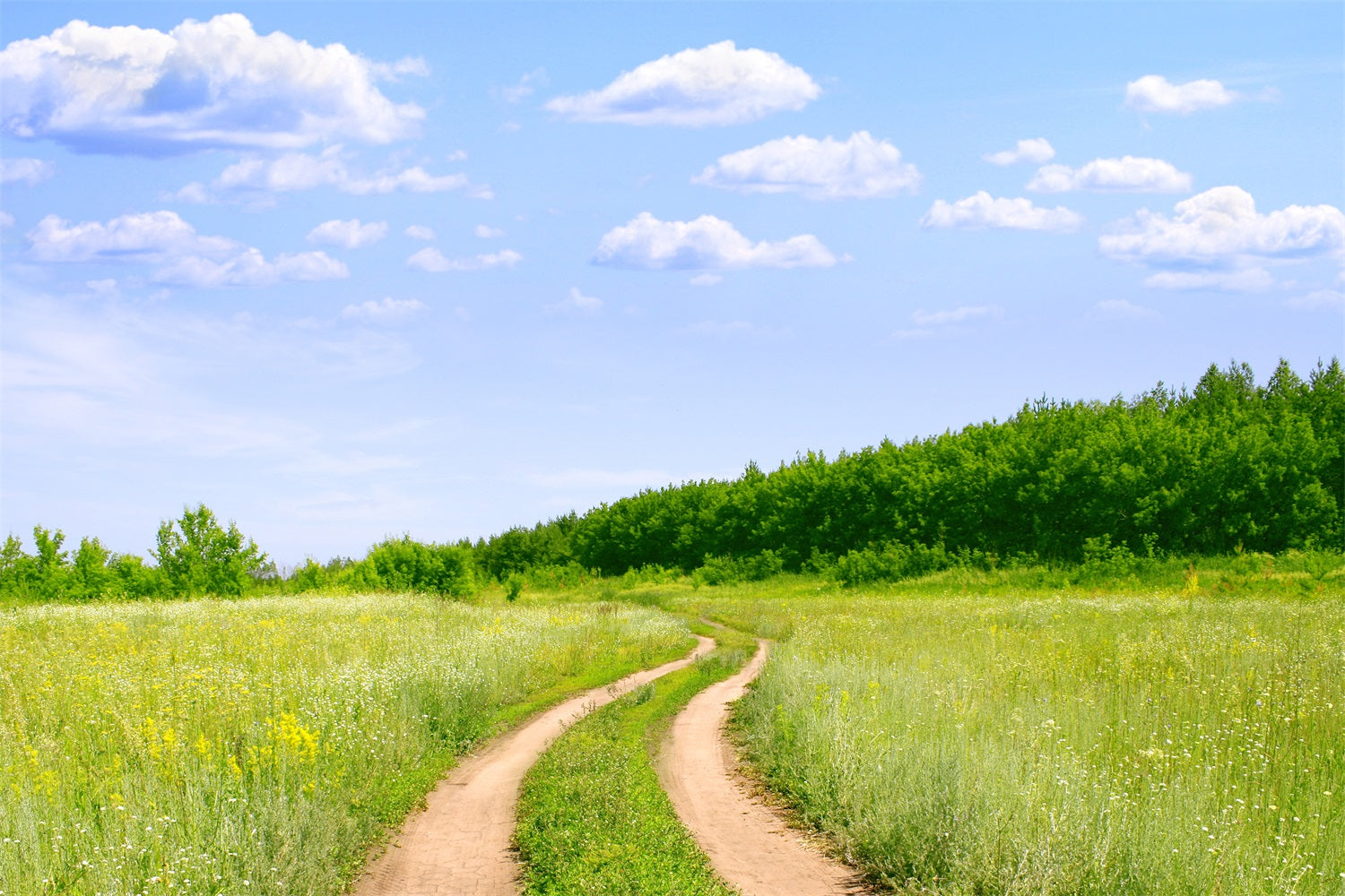 Blue Sky Backdrop Country Trail Meadow Backdrop UK LXX1-302