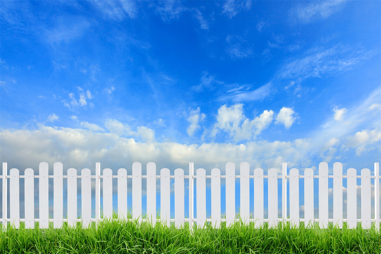 Sky Backdrop Photography Sunny Day White Fence Backdrop UK LXX1-303