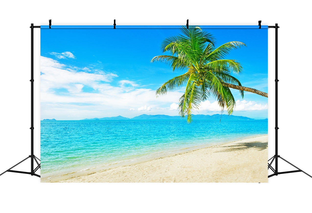 Ocean Sky Backdrop Sunny Beach Coconut Tree Backdrop UK LXX1-304