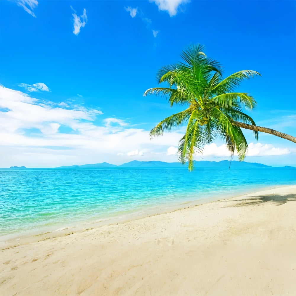 Ocean Sky Backdrop Sunny Beach Coconut Tree Backdrop UK LXX1-304