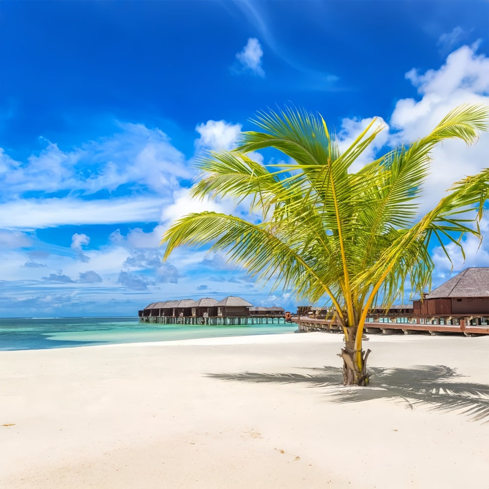 Sky Photography Backdrop Palm Tree Luxury Huts Backdrop UK LXX1-306