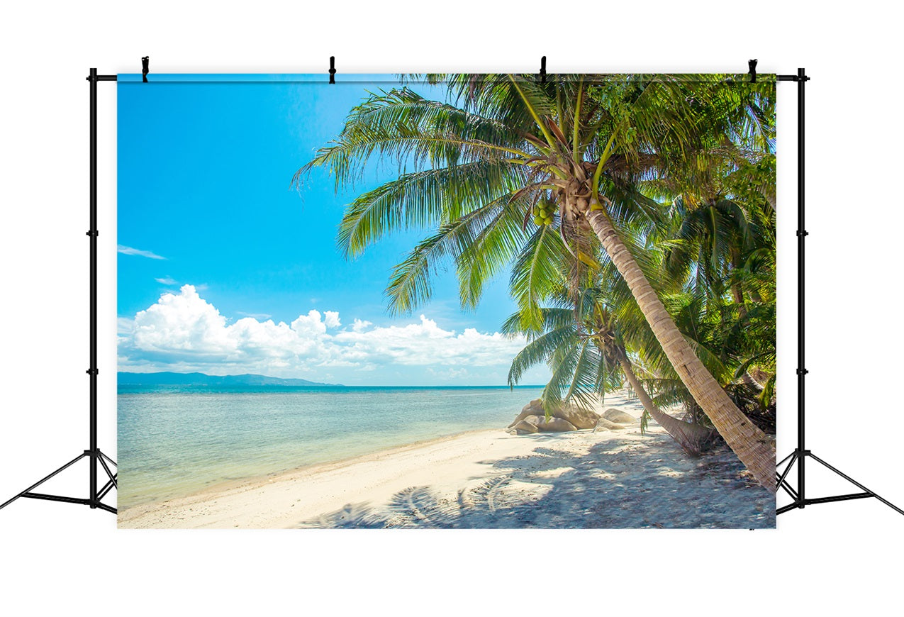 Cloudy Sky Backdrop Palm Tree Beach Landscape Backdrop UK LXX1-307