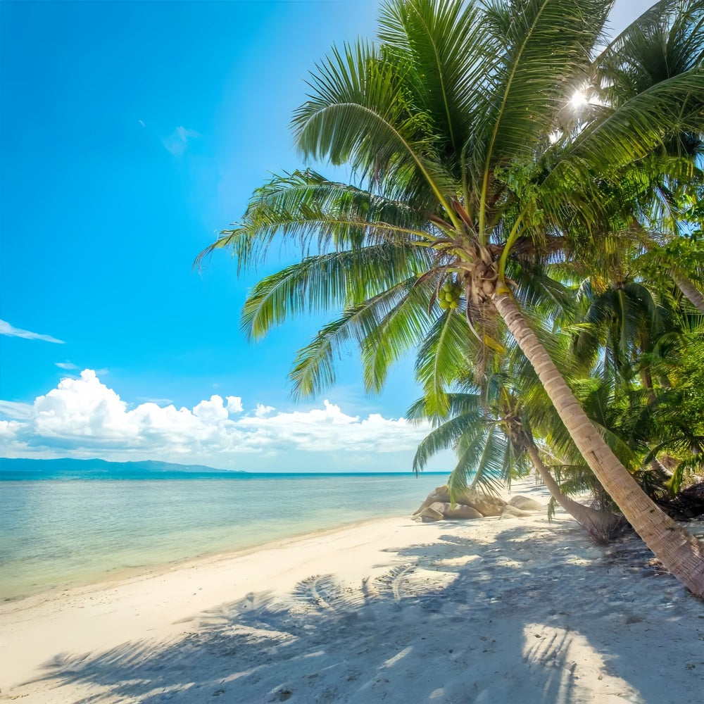 Cloudy Sky Backdrop Palm Tree Beach Landscape Backdrop UK LXX1-307