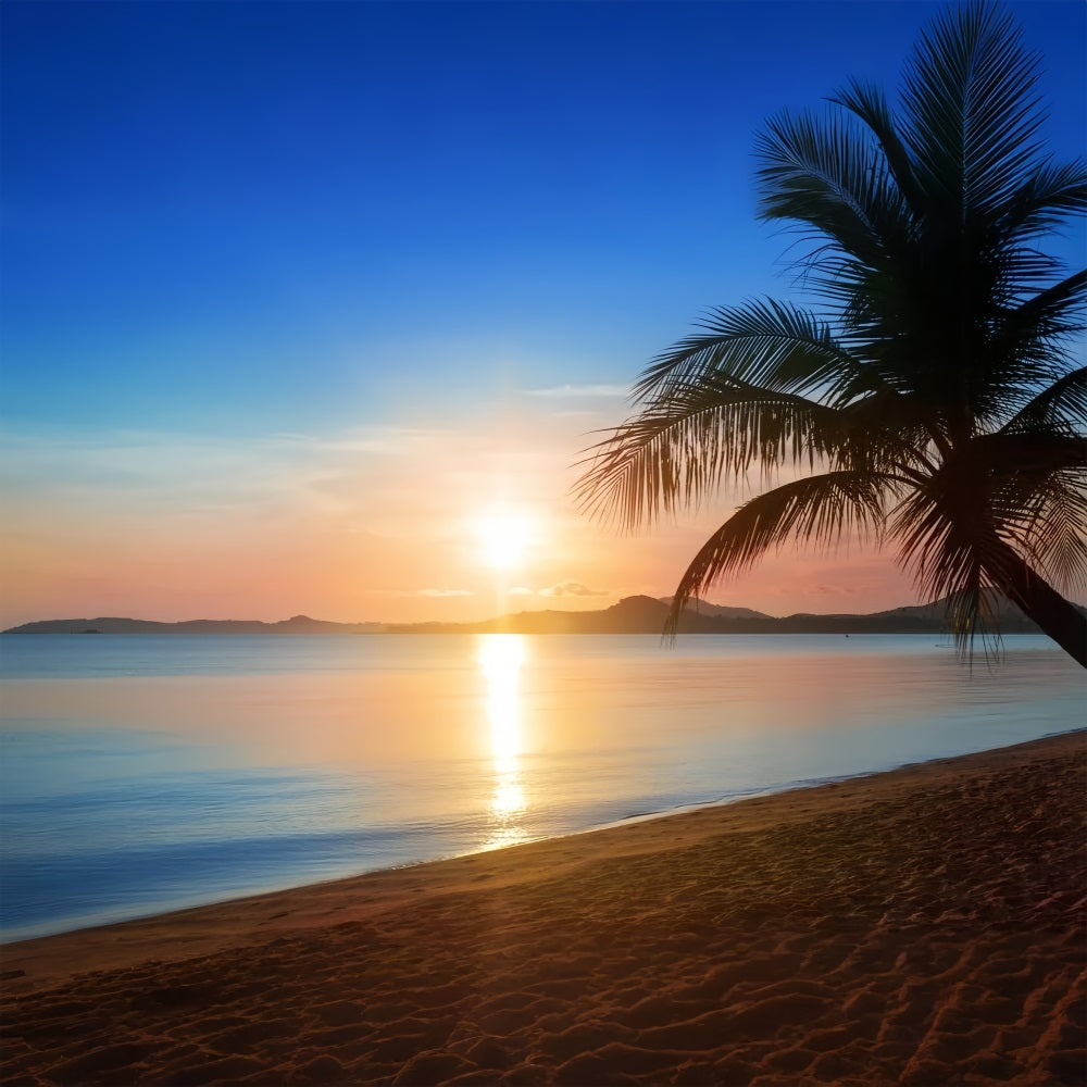 Blue Sky Photo Backdrop Golden Beach Sunset Backdrop UK LXX1-311