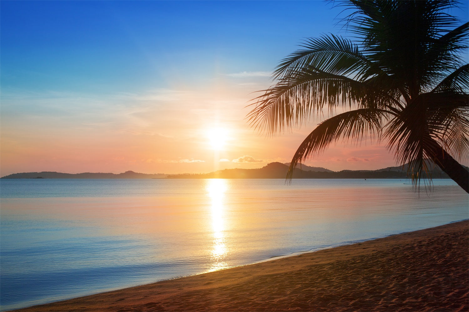 Blue Sky Photo Backdrop Golden Beach Sunset Backdrop UK LXX1-311