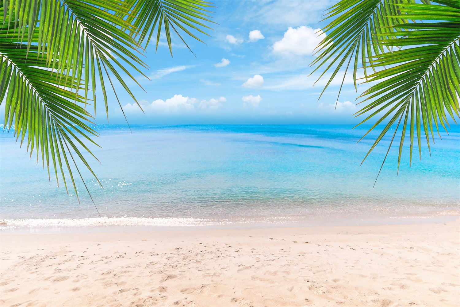 Cloudy Sky Backdrop Sandy Shore Palm Leaves Backdrop UK LXX1-312