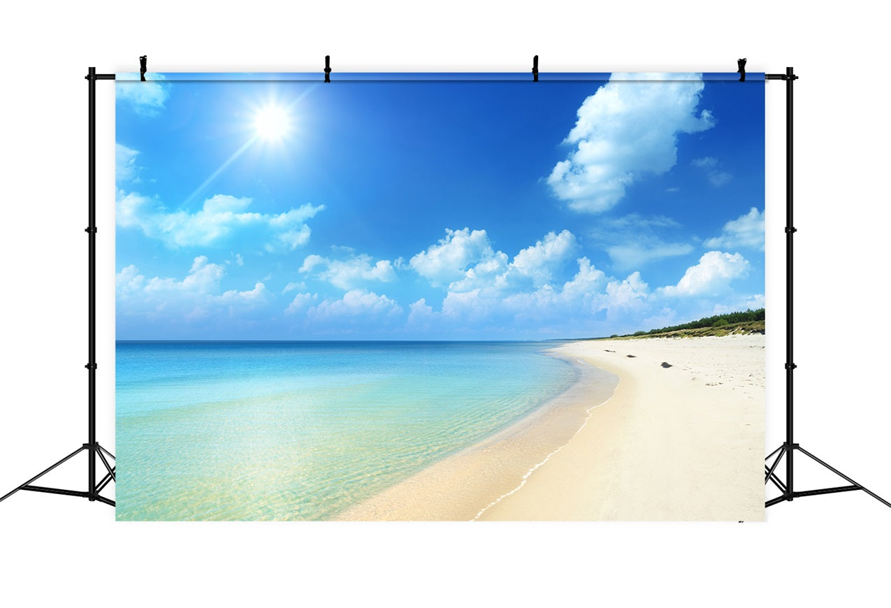 Photography Sky Backdrop Golden Sands Serene Ocean Backdrop UK LXX1-313