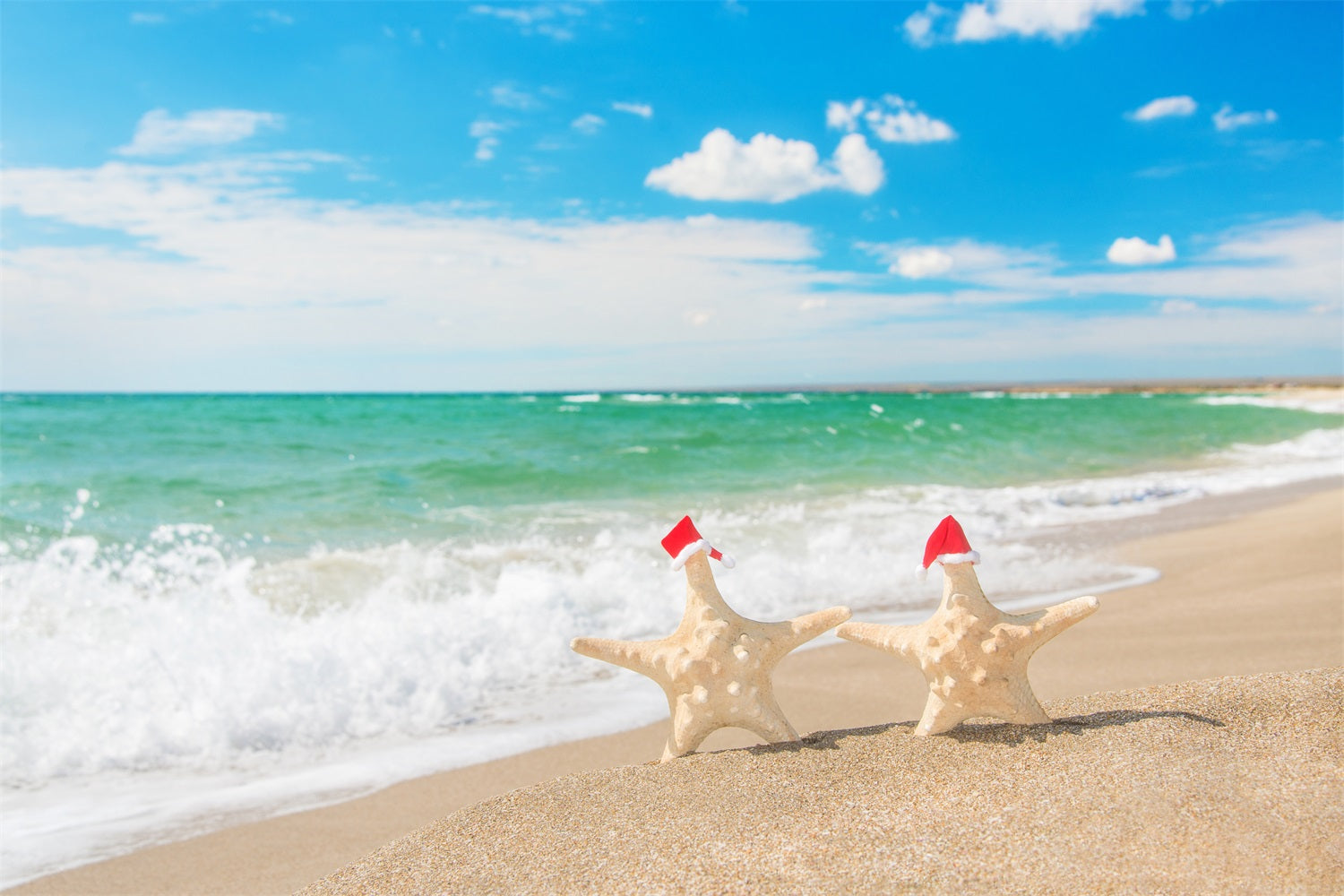 Sky With Clouds Backdrop Festive Beach Starfish Backdrop UK LXX1-314