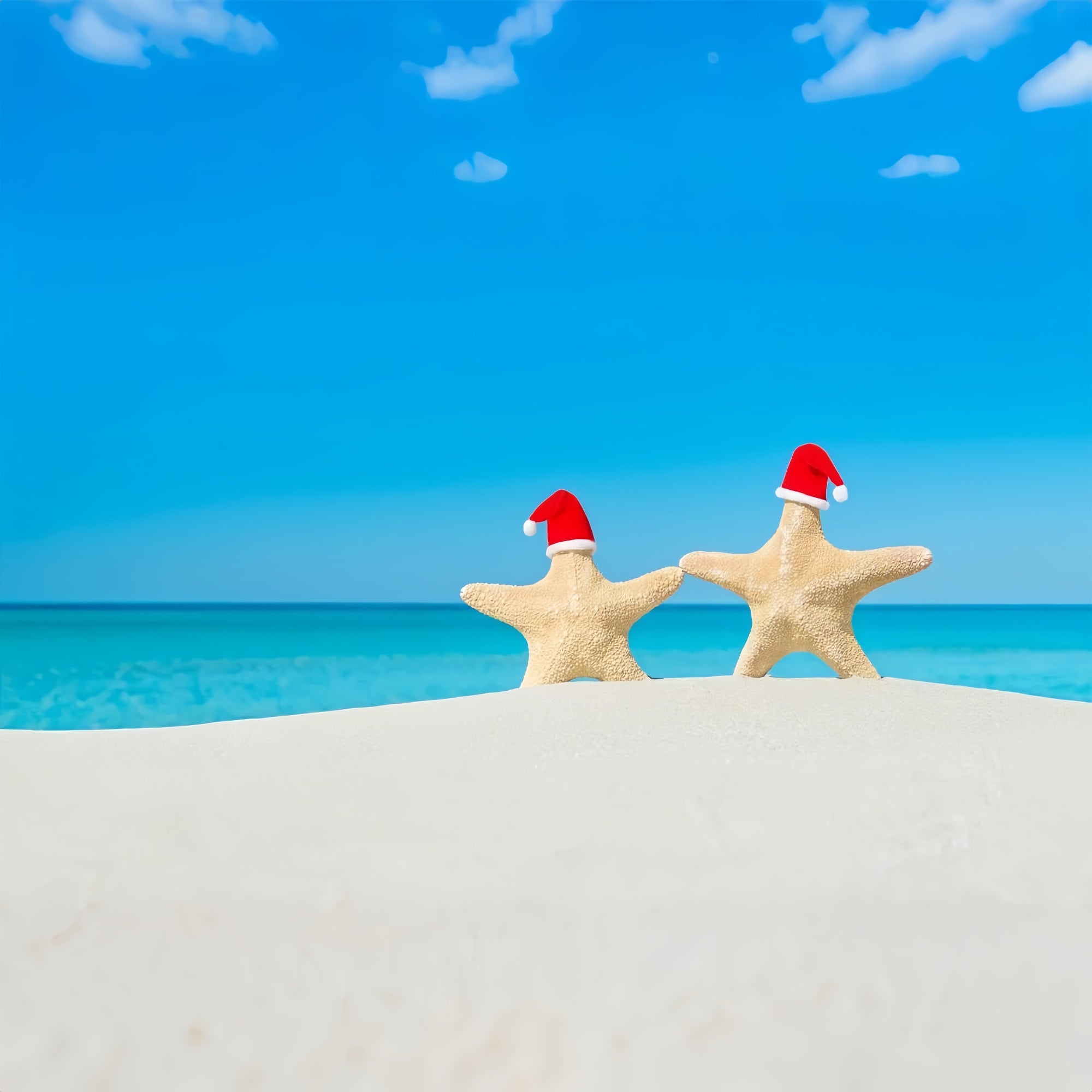 Blue Sky Backdrop Warm Sands Festive Starfish Backdrop UK LXX1-315