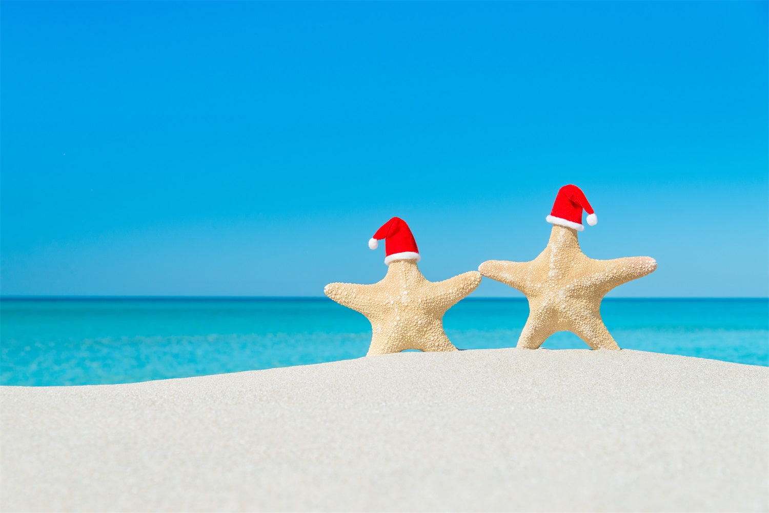 Blue Sky Backdrop Warm Sands Festive Starfish Backdrop UK LXX1-315