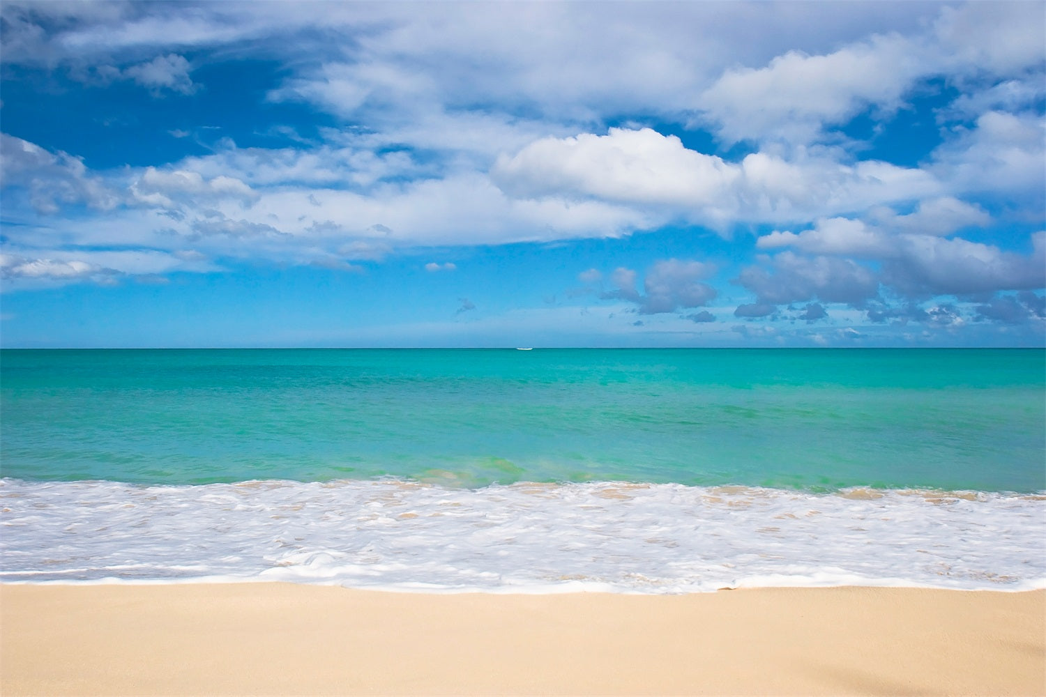 Ocean Sky Backdrop Peaceful Shoreline Blue Water Backdrop UK LXX1-316