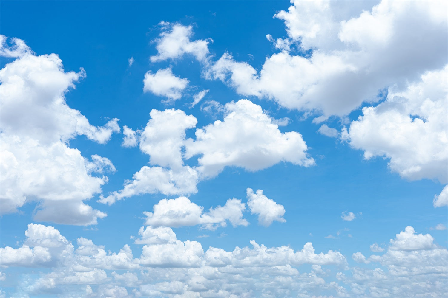 Cloud Photography Backdrop Expansive Sky Puffy Clouds Backdrop UK LXX1-320