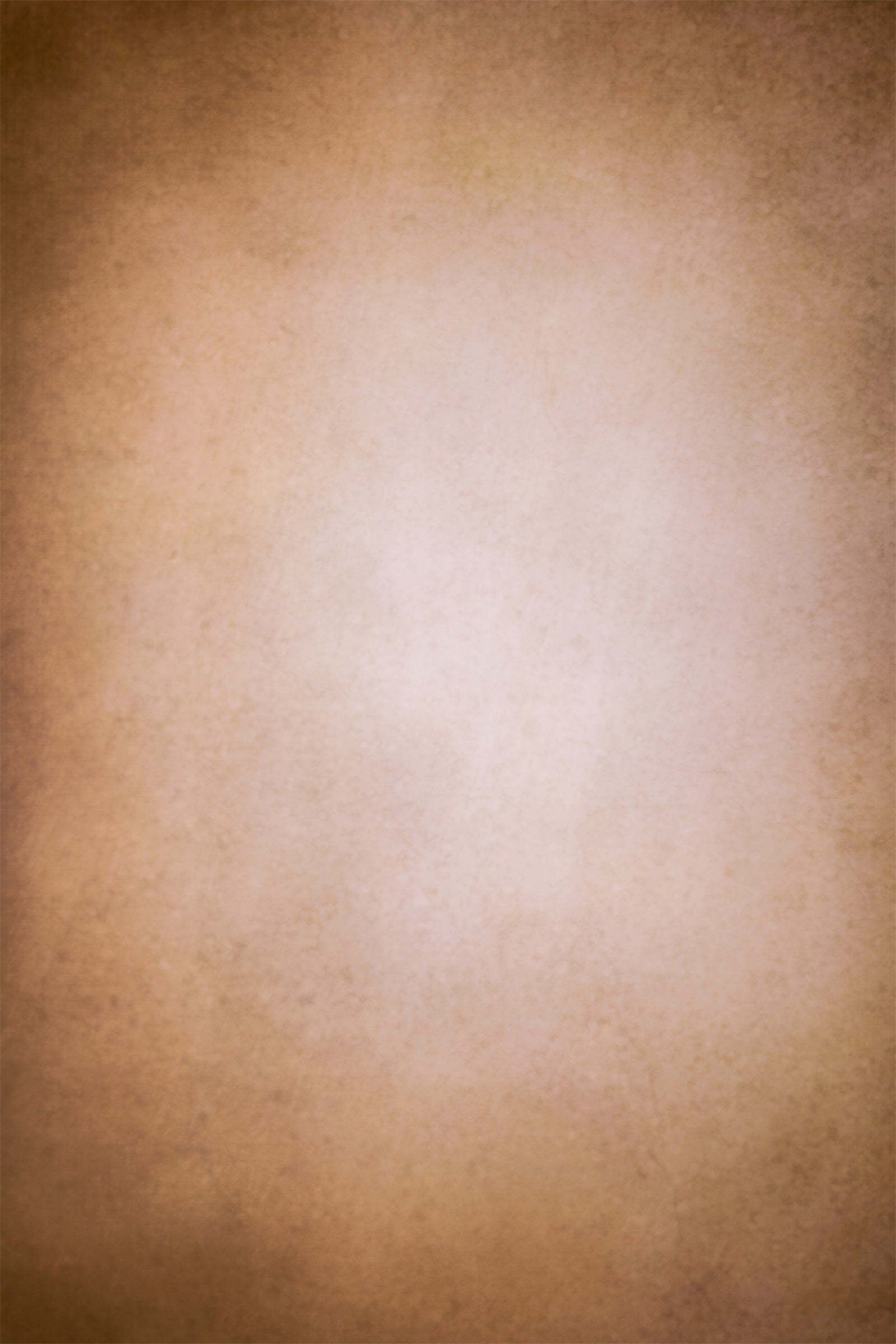 Abstract Photography Backdrop Soft Sepia Gradient Backdrop UK LXX1-369