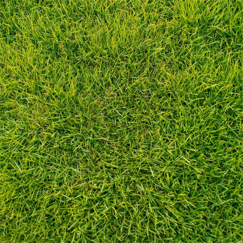 Floor Backdrop Photography Lush Green Grass Floor Backdrop UK LXX2-227