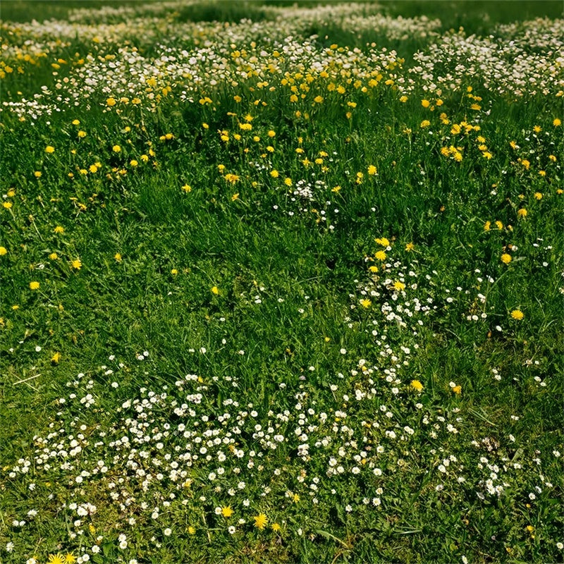 Photo Backdrop Floor Wildflower Meadow Green Floor Backdrop UK LXX2-228