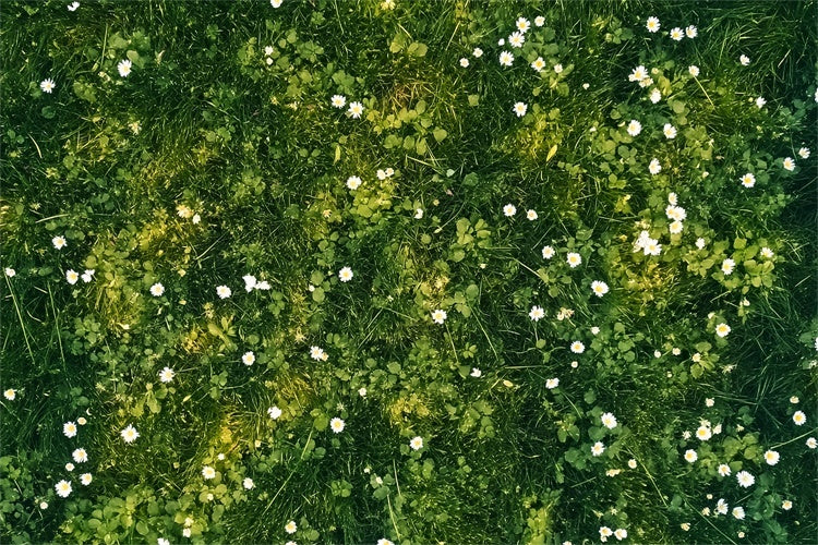 Floor Backdrop White Petals Green Meadow Floor Backdrop UK LXX2-229