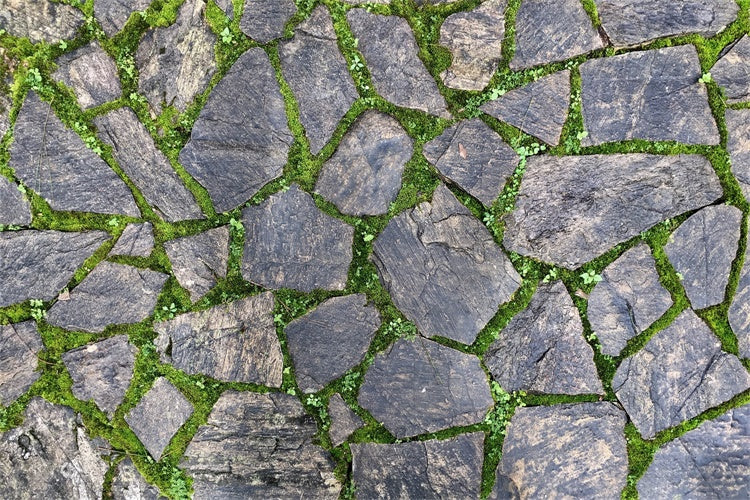 Photography Floor Backdrop Dark Rustic Stone Floor Backdrop UK LXX2-237