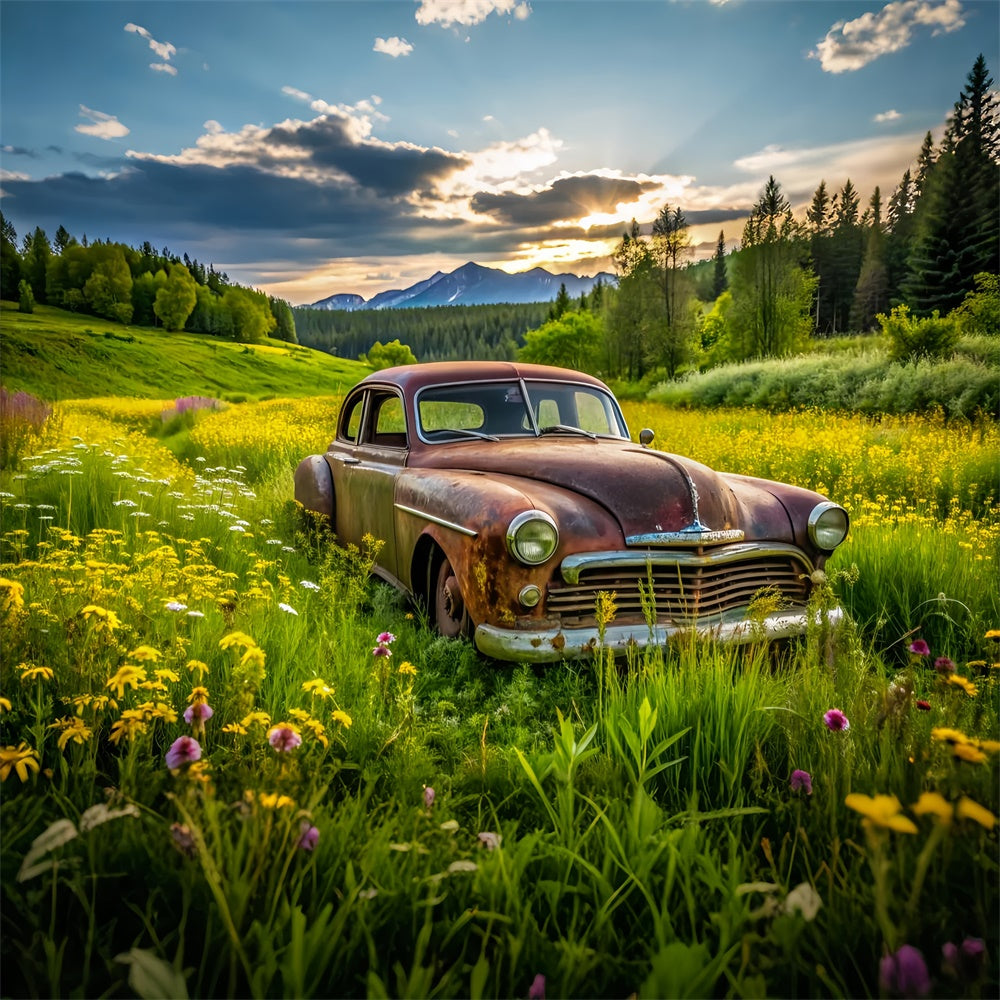 Spring Photo Backdrop Vintage Car Lush Meadow Backdrop UK LXX2-68