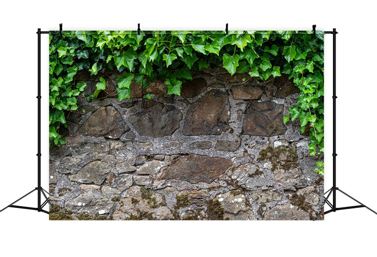 Spring Photography Backdrop Rustic Stone Wall Ivy Backdrop UK LXX2-70