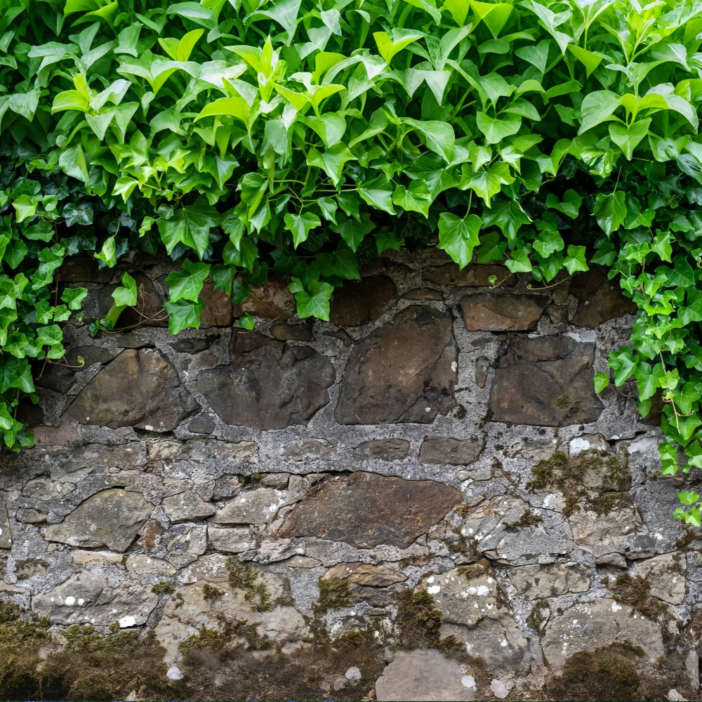 Spring Photography Backdrop Rustic Stone Wall Ivy Backdrop UK LXX2-70