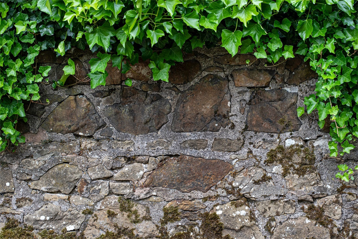 Spring Photography Backdrop Rustic Stone Wall Ivy Backdrop UK LXX2-70