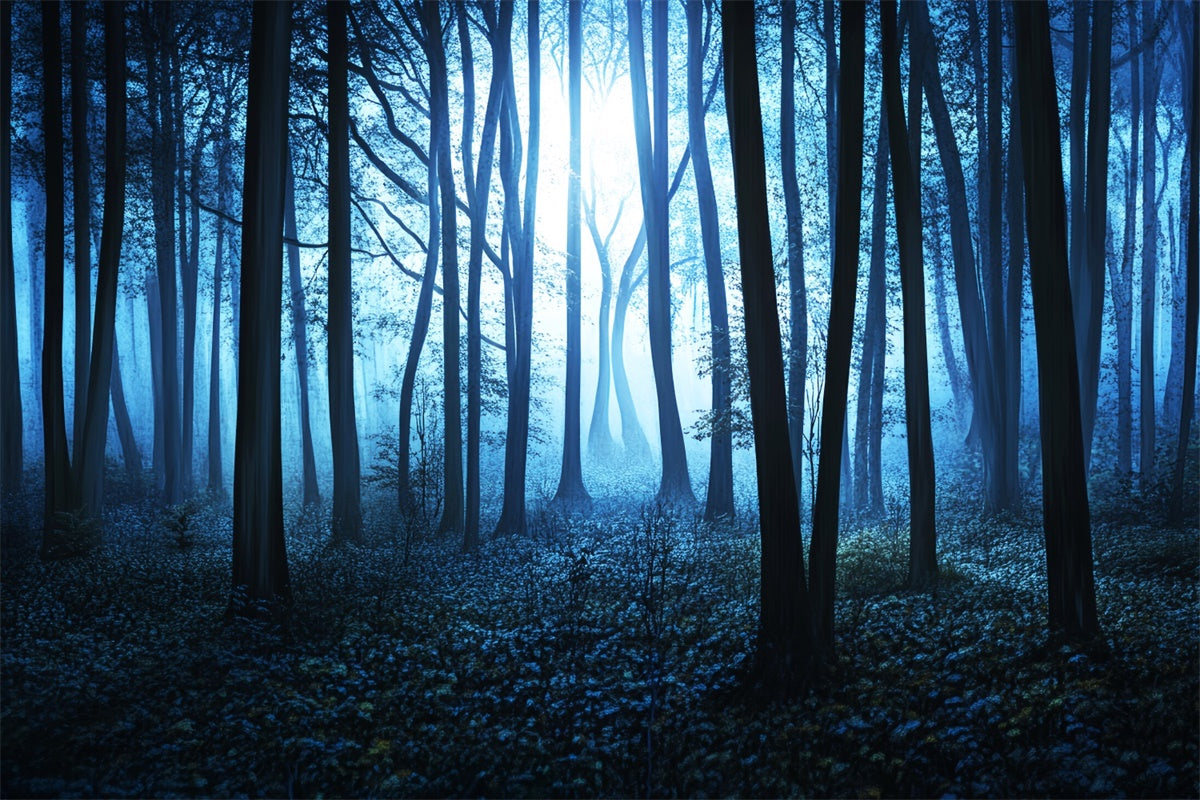 Dark Forest Backdrop Midnight Mist Grove Backdrop UK LXX57-115