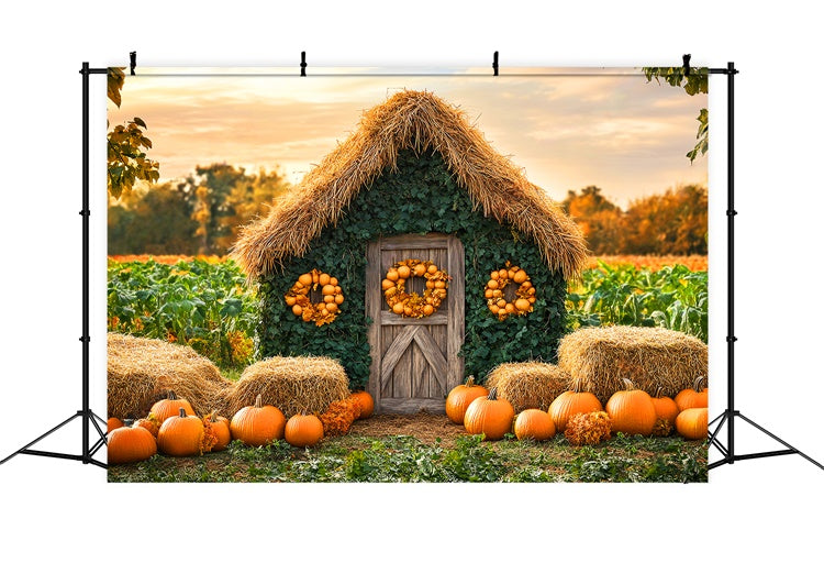 Autumn Photo Backdrop Pumpkin Patch Cottage Backdrop UK LXX57-154