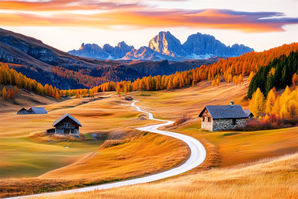 Fall Photoshoot Backdrop Curved Trail Mountain Backdrop UK LXX57-157
