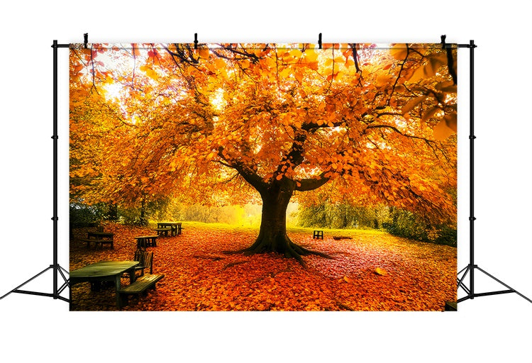 Autumn Leaves Backdrop Fall Canopy Backdrop Backdrop UK LXX57-177