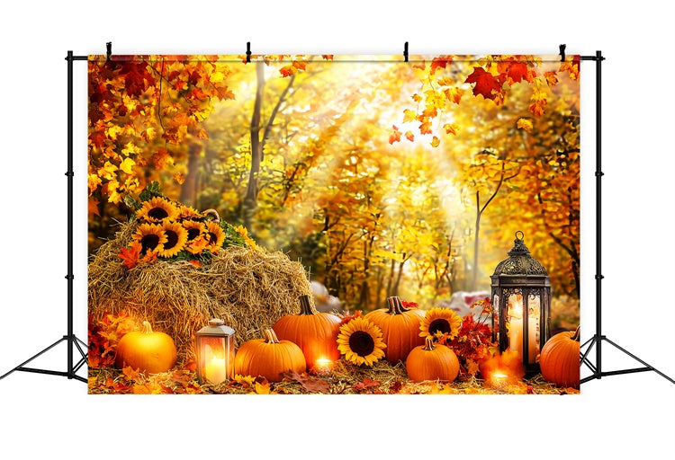 Fall Forest Backdrop Pumpkin Glow Forest Backdrop UK LXX57-178