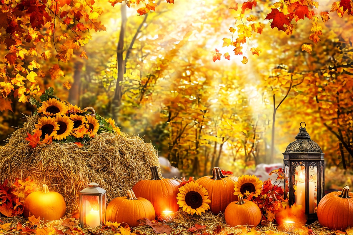 Fall Forest Backdrop Pumpkin Glow Forest Backdrop UK LXX57-178