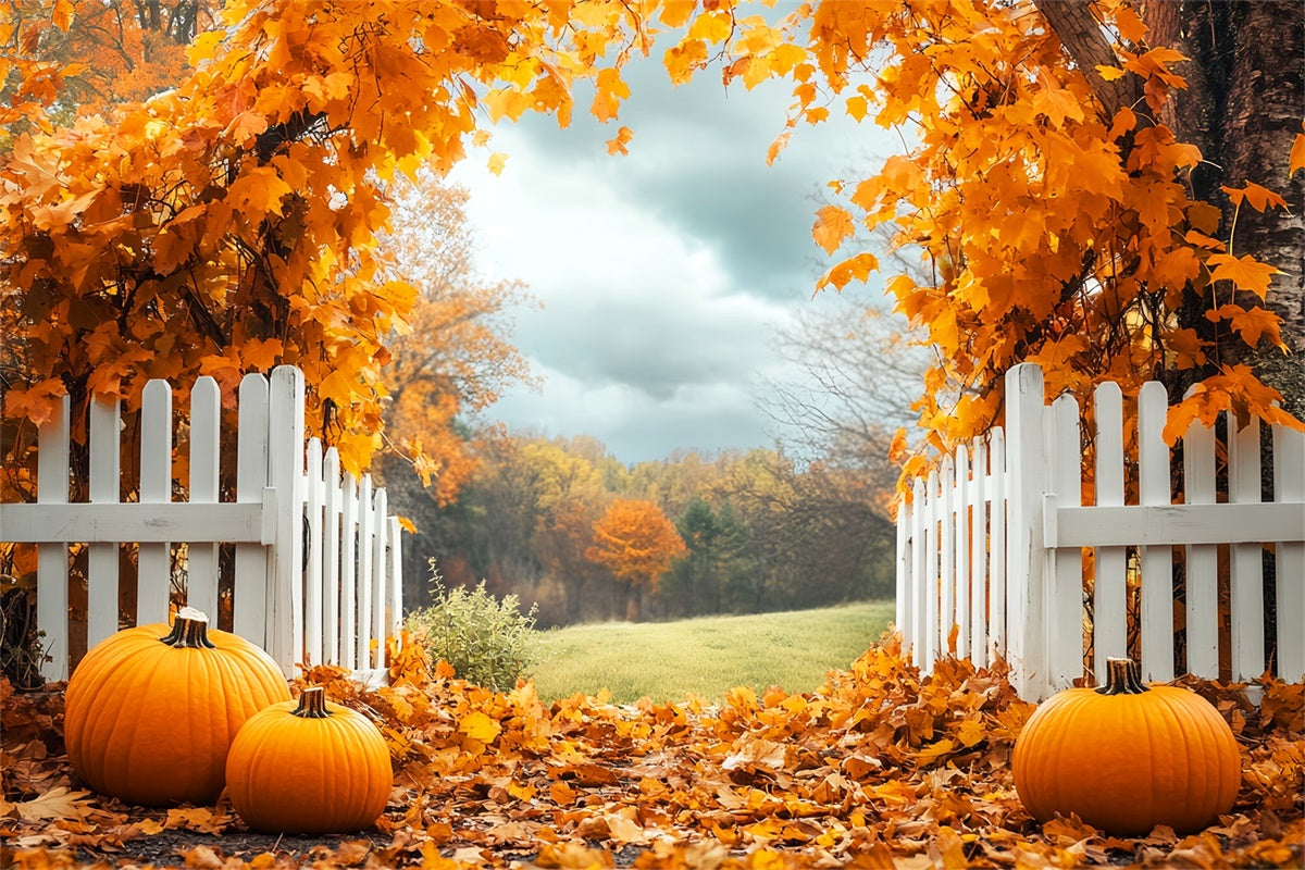 Fall Leaves Backdrop Pumpkin Grove Fence Backdrop UK LXX57-179