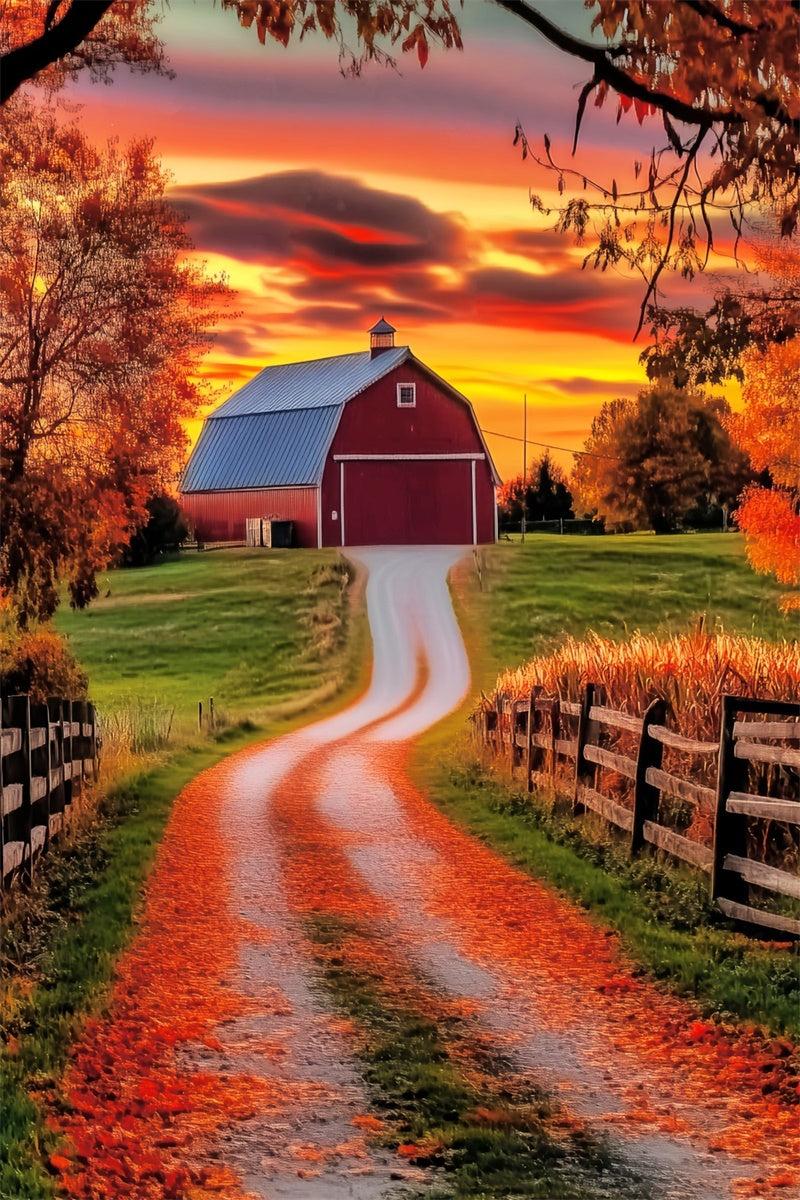 Sunset Photo Backdrop Rustic Barn Glow Fall Backdrop UK LXX57-184