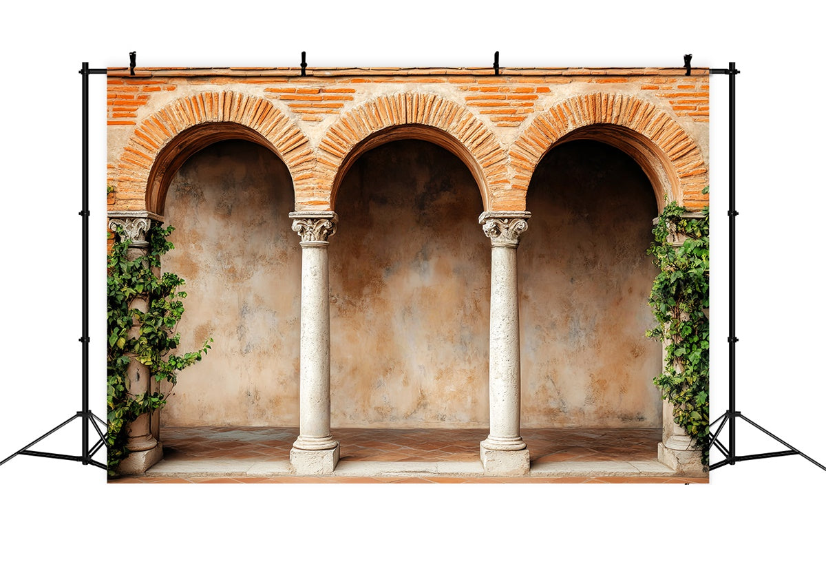 Vintage Photography Backdrop Rustic Brick Cloister Backdrop UK LXX57-191