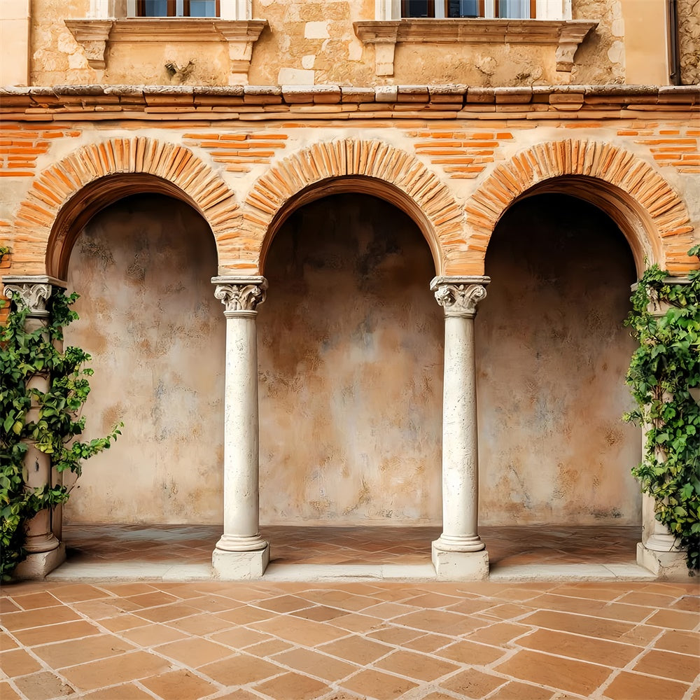 Vintage Photography Backdrop Rustic Brick Cloister Backdrop UK LXX57-191