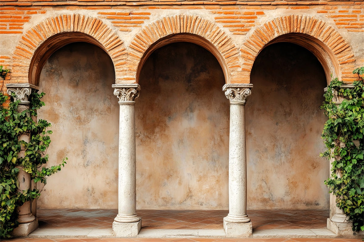 Vintage Photography Backdrop Rustic Brick Cloister Backdrop UK LXX57-191