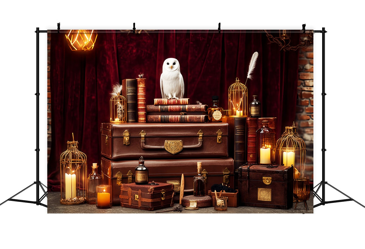 Retro Backdrop Mystical Owl Books Vintage Photo Backdrop UK LXX57-192