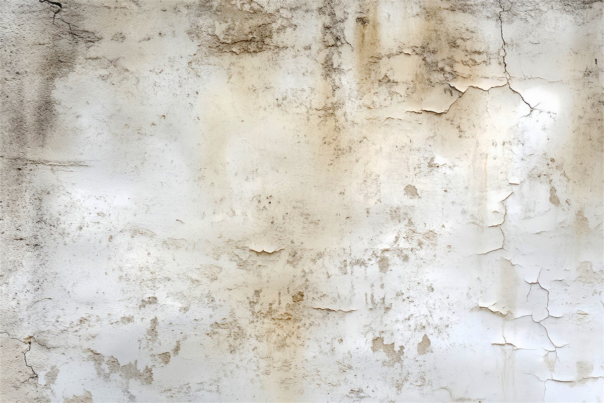 Vintage Wall Backdrop Cracked Plaster Wall Backdrop UK LXX57-226