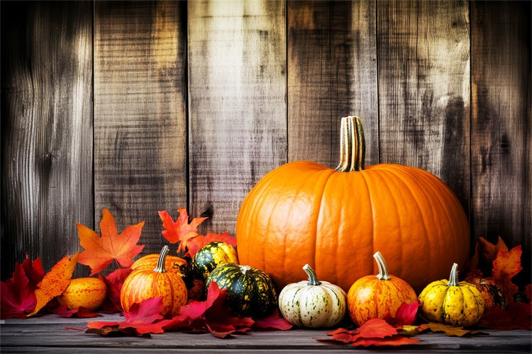 Thanksgiving Day Backdrop Pumpkin Setup Fall Leaves Backdrop UK LXX57-328