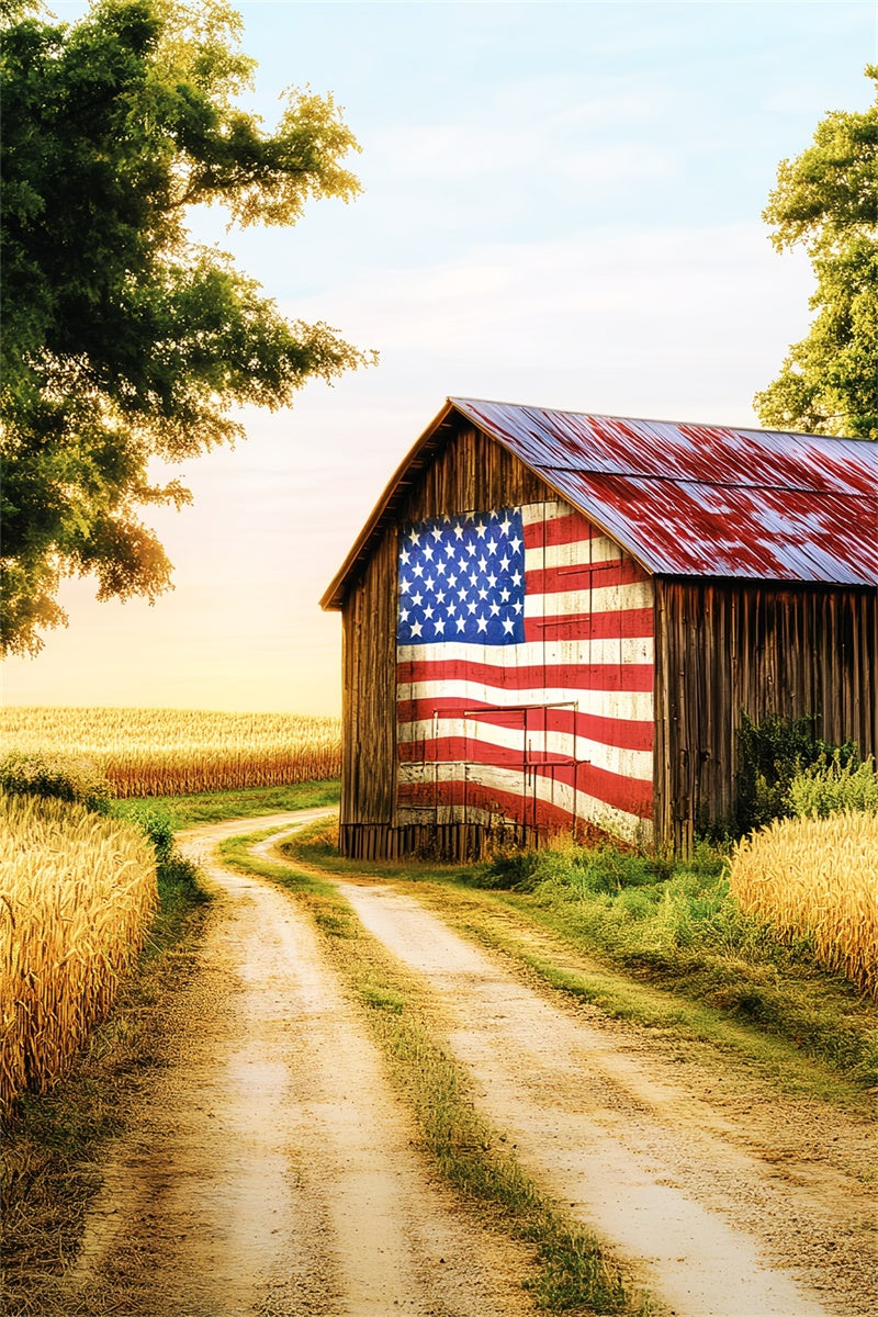 Rustic Barn Backdrop Patriotic Farm Barn Backdrop UK LXX57-387